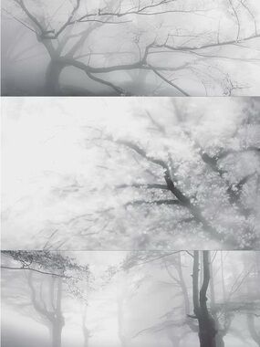 Meet your Posher, Scar